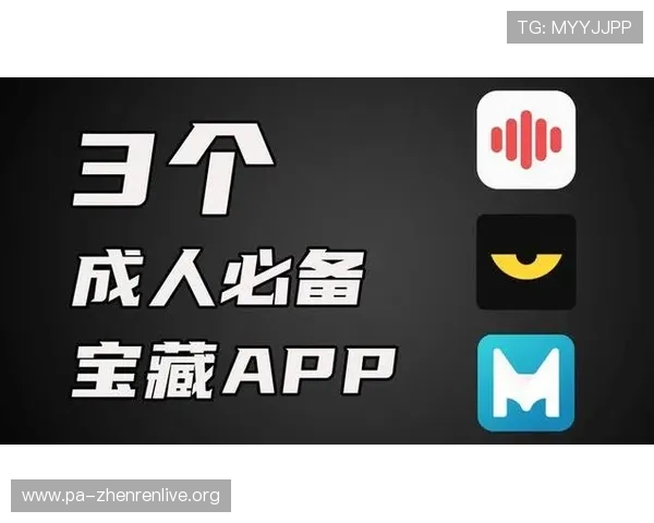 最新版本bg视讯试玩app功能更新与优化内容全面介绍提升使用体验