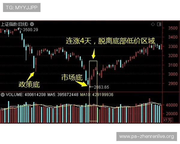 用户在选择真人注册中心时应关注的安全性和稳定性指标详解